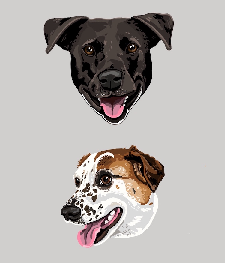 Digital pet portraits of dogs illustrated by Sara Barnes / Brown Paper Stitch