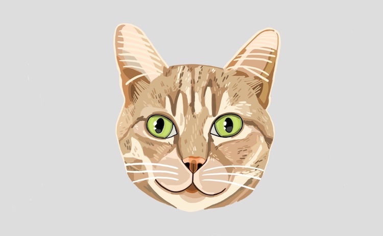 Digital pet portrait of cats illustrated by Sara Barnes / Brown Paper Stitch