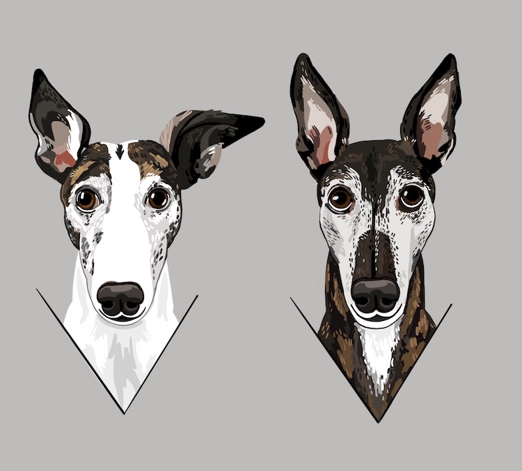 Digital pet portraits of dogs illustrated by Sara Barnes / Brown Paper Stitch