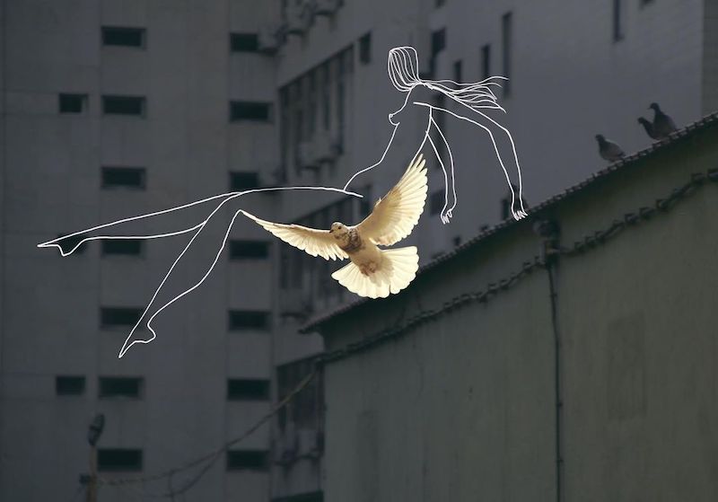 Illustrations drawn onto landscape photos by Kokeit